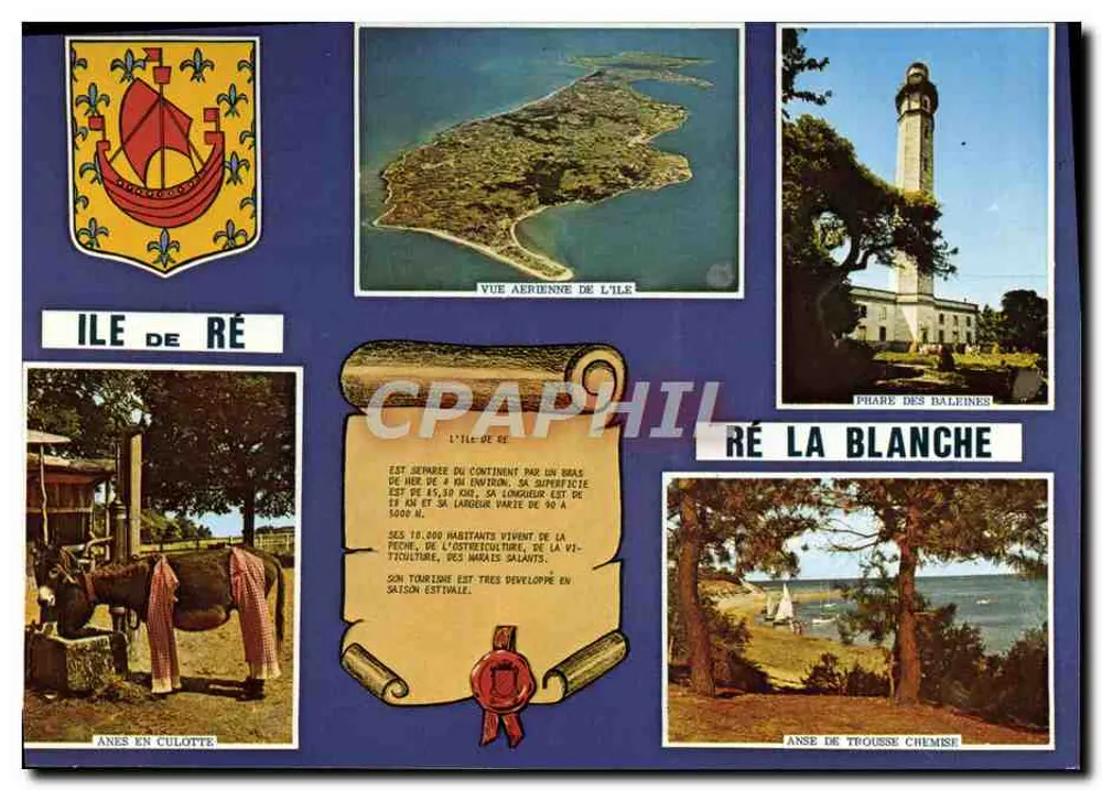 Île de Ré — Luftbild, Leuchtturm der Wale, Ponys in Hosen, Bucht von Trousse Chemise — Artaud Frères - Vorderseite