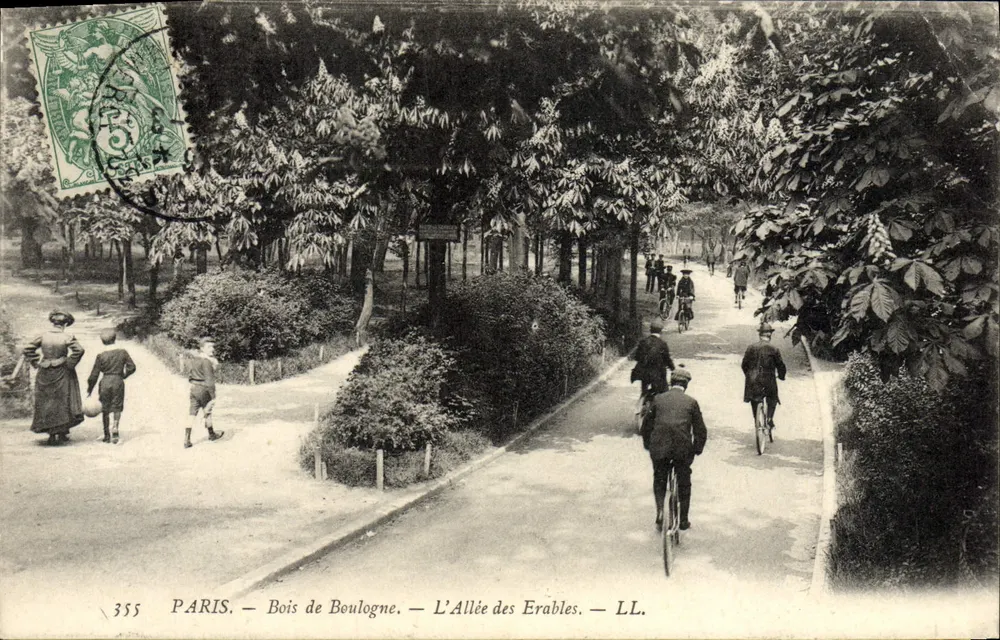 Paris - Bois de Boulogne - Die Kirschlorbeer-Allee — LL. n°355 - Vorderseite