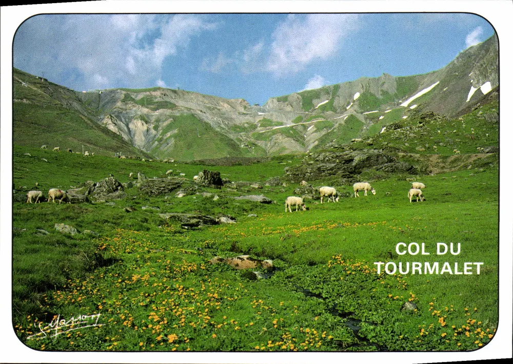 Col du Tourmalet — Panoramablick mit Schafen — Éditions J. Masson, Cauterets - Vorderseite