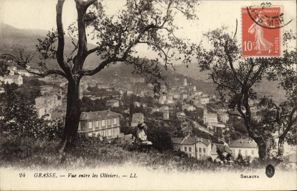 Grasse — Vista entre os Oliveiras — LL. Selecta - Frente