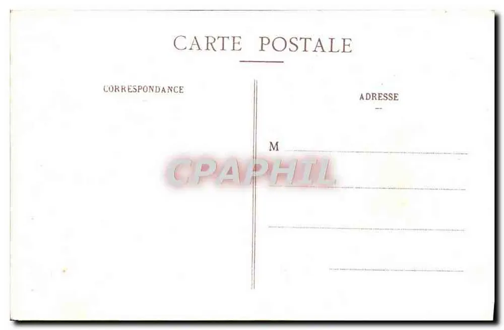 Nice - Jardins Gambetta - Palmiers — B.F. n°29 - Verso