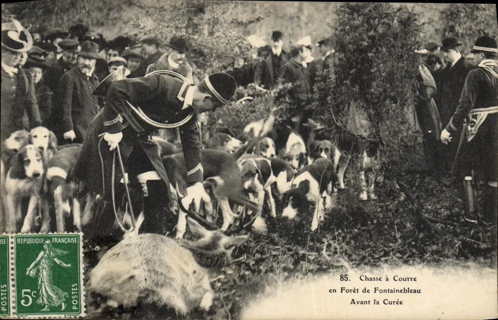 Jagd im Wald von Fontainebleau — Vor der Jagd — Verlag unbekannt, Nr. 85 - Vorderseite