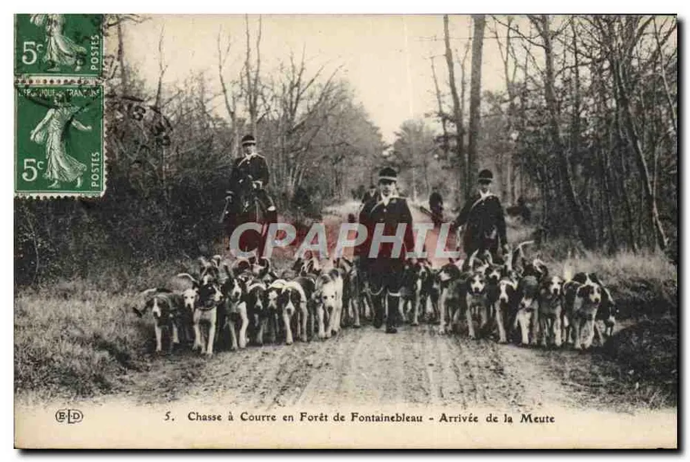 Jagd auf Hunde in der Forêt de Fontainebleau — Ankunft der Meute — Verlag E.D. n°5 - Vorderseite