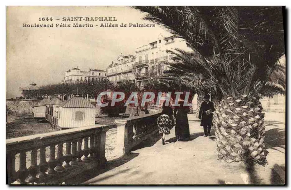 Saint-Raphaël — Boulevard Félix Martin - Allées de Palmiers — Verlag unbekannt - Vorderseite