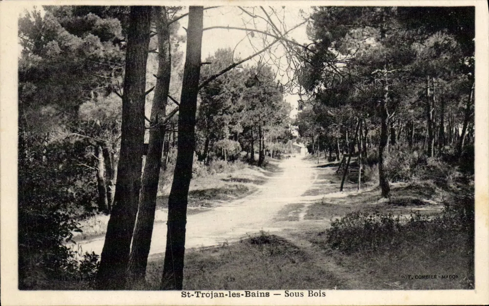 St-Trojan-les-Bains — Sob a Floresta — T. Dombier - Macon - Frente