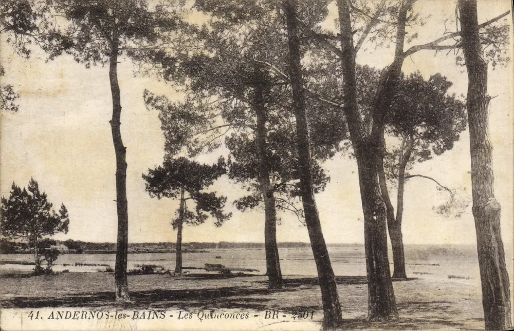 Les Quinconces - Andernos-les-Bains — BR-2501, editor Bline Frères - Frente