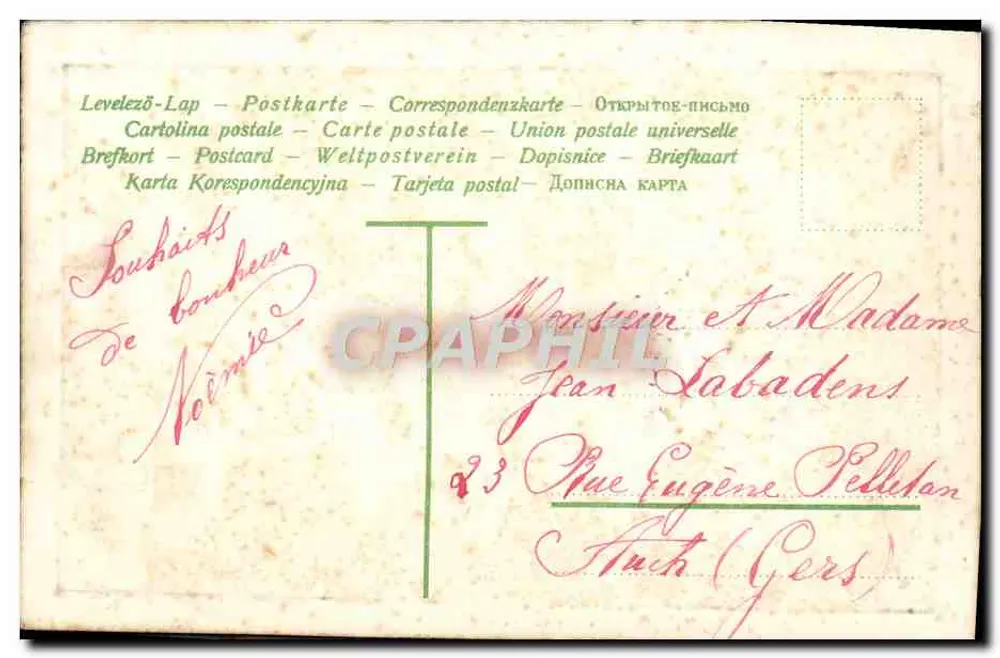 Bouquet de primevères — Souvenir d'Amitié — Editor não visível - Verso