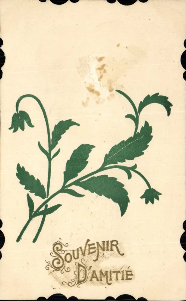 Souvenir d'Amitié — carte postale décorée de motifs floraux verts — éditeur non visible - Frente
