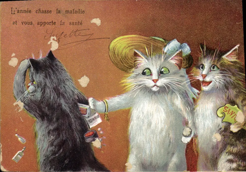Trois chats — scène de santé — éditeur DROMMANN - Voorkant