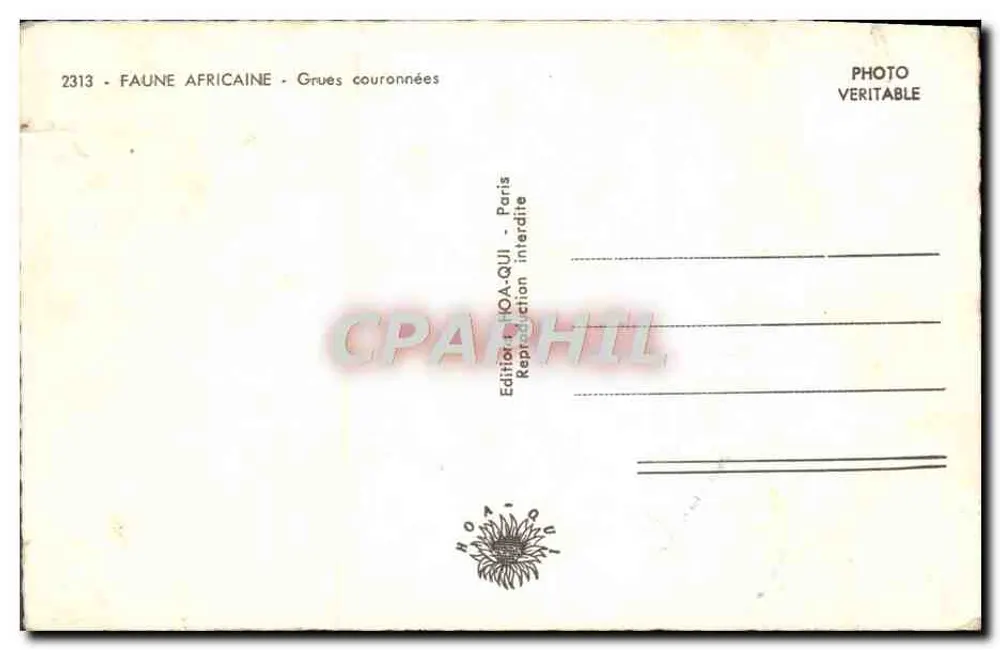 Deux grues couronnées — scène naturelle — Éditeur HOA-QUI, Paris, n° 2313 - Achterkant