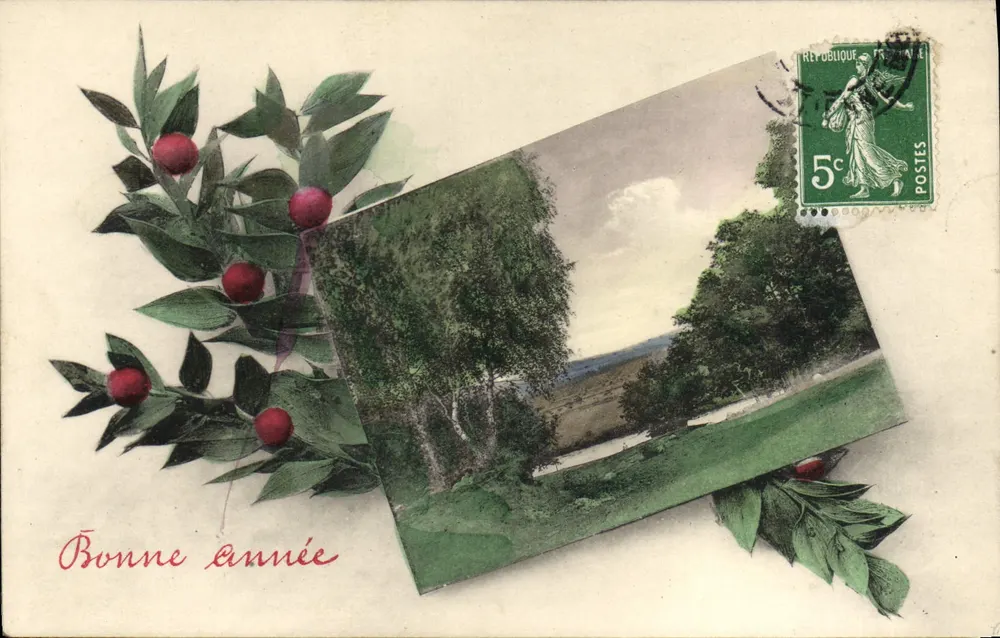 Laurierzweig — Glückwünsche — A.S. Serie 888 - Vorderseite