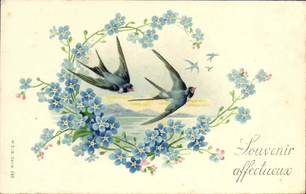 Vögel und Blumen — Zärtliches Andenken — M.S.I.B. Serie 280 - Vorderseite
