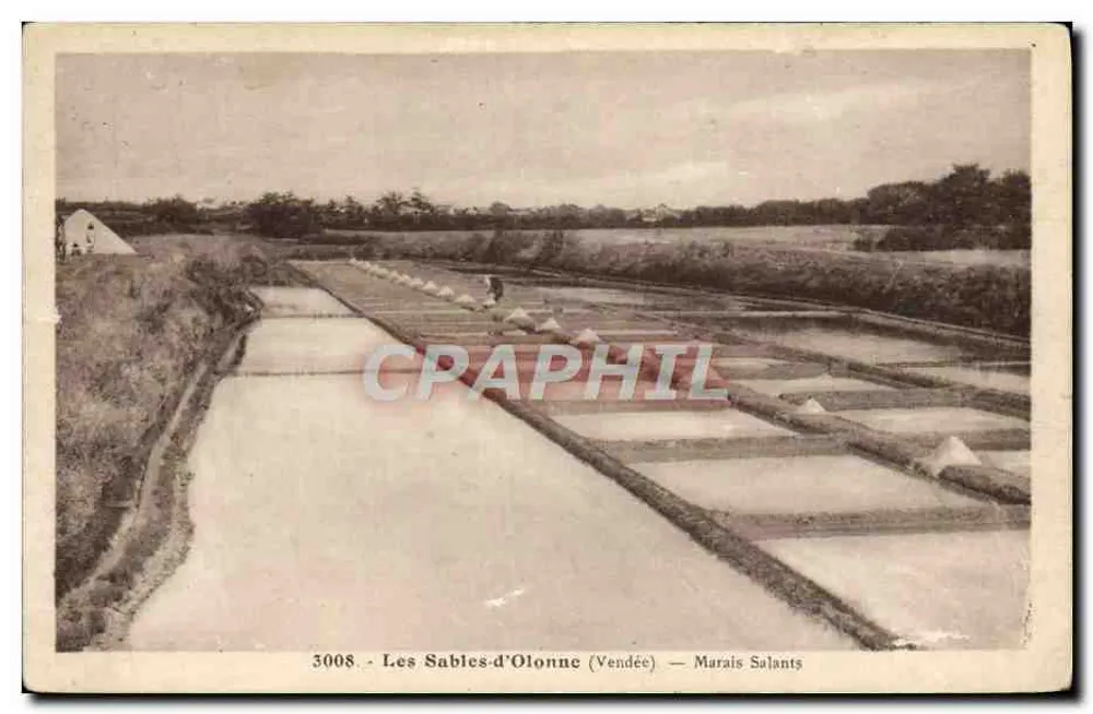 Les Sables-d'Olonne (Vendée) — Marais Salants - Frente