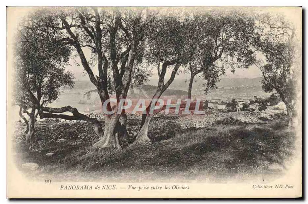 Panorama von Nizza — Aufnahme zwischen den Olivenbäumen — Collections ND Phot, n°303 - Vorderseite