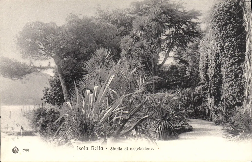 Isola Bella - Estúdio de vegetação — editor Brunner & C., Como-Zürich, n° 700 - Frente
