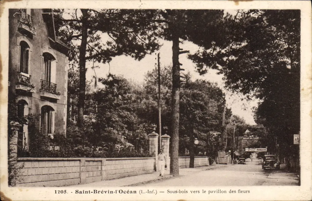 Saint-Brévin-l'Océan (L.-Inf.) — Waldgebiet in Richtung Blumenpavillon — Phototypie J. Poupin - Vorderseite