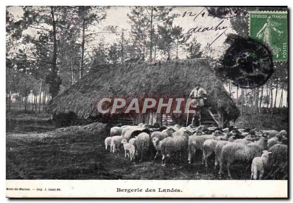 Bergerie des Landes — Mont-de-Marsan — Imp. J. Saint-Pé - Frente