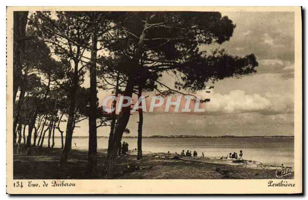Versand aus Quiberon — Ansicht der Kiefernwälder — Cie des Arts Photomécaniques, Straßburg - Vorderseite