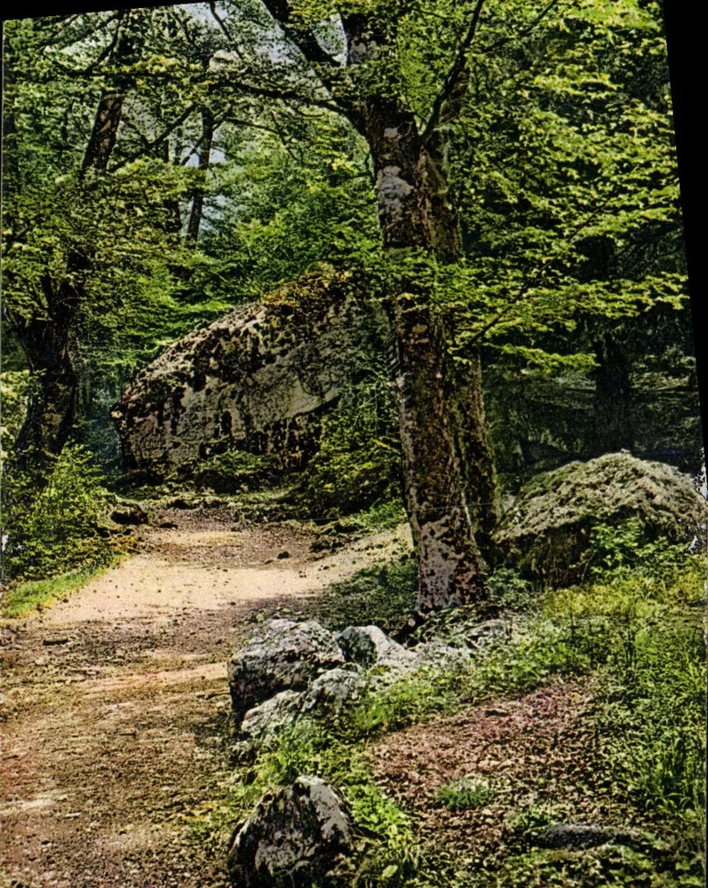 O Canapé — Santa-Baume (Var) — Photochromie A.D.I.A. (S.I. Roch) Nice - Frente