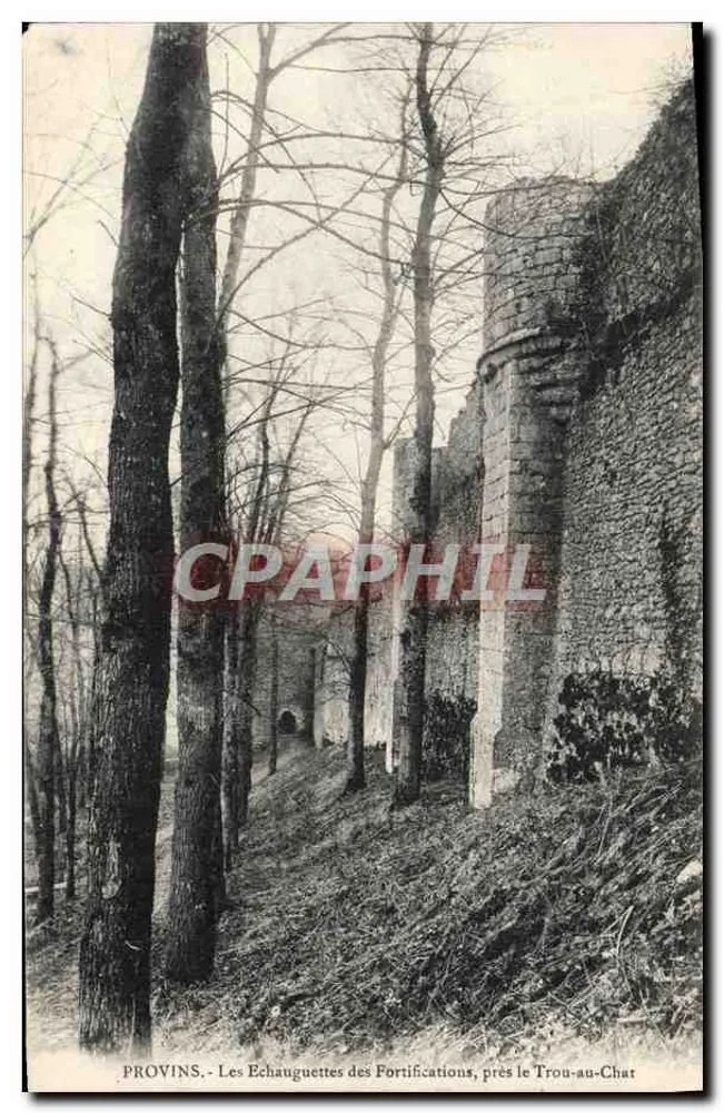 Provins - Die Echauguettes der Festungsniederungen, nahe dem Trou-au-Chat - Vorderseite