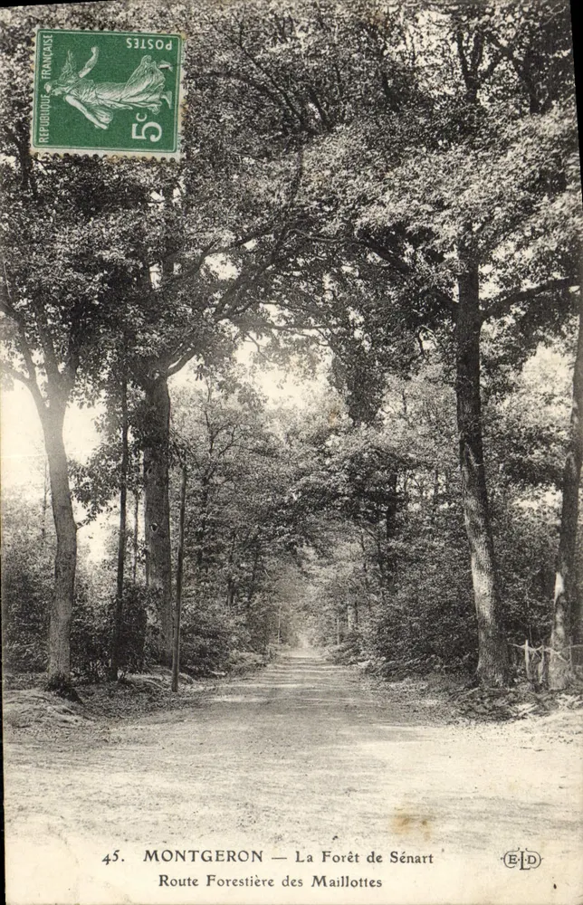 Montgeron — Der Wald von Sénart — Waldstraße der Maillottes — EID - Vorderseite