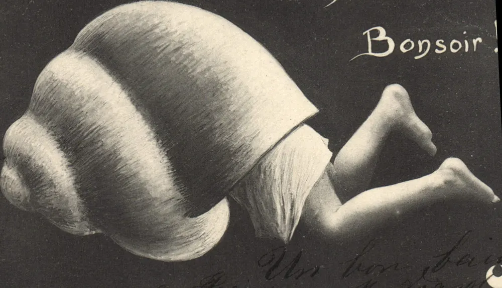 Enfant sous coquille — illustration — éditeur imprimeur non visible - Frente