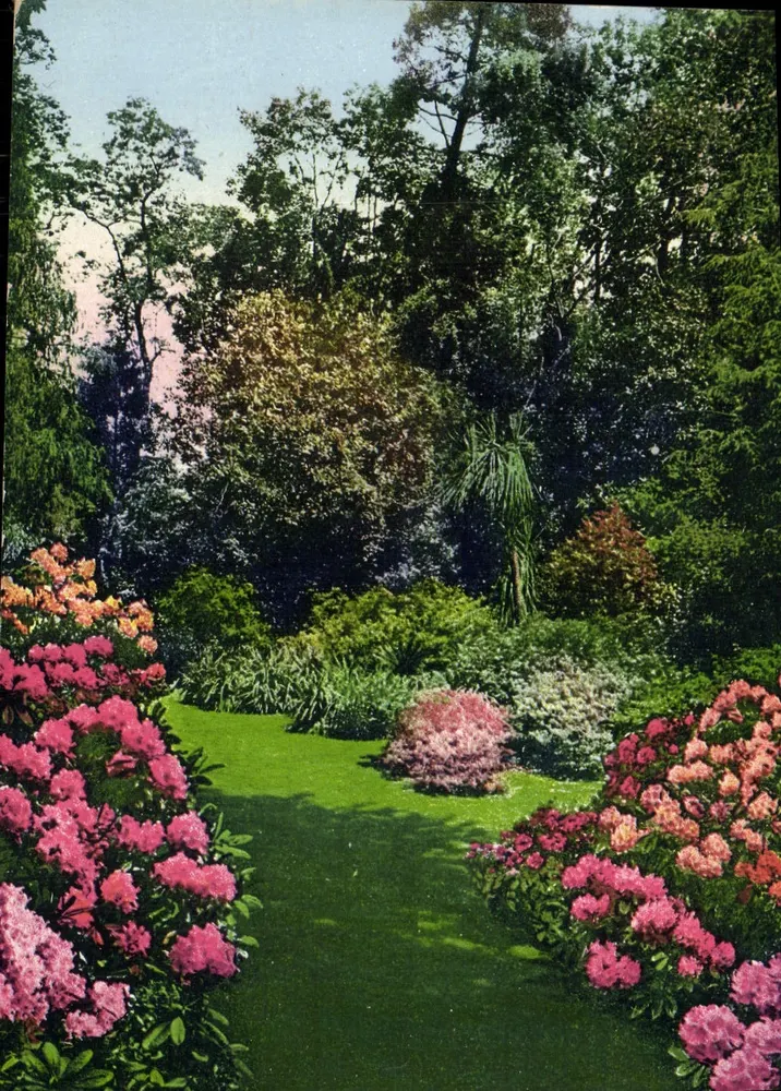 Jardim da Villa Carlotta — Lago de Como — editor B, n° 3572 - Frente