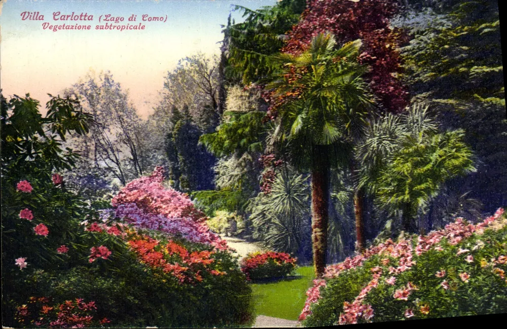 Villa Carlotta (Lago di Como) — Subtropische Vegetation — Edit. Brunner & C., Como, Nr. 13122 - Vorderseite