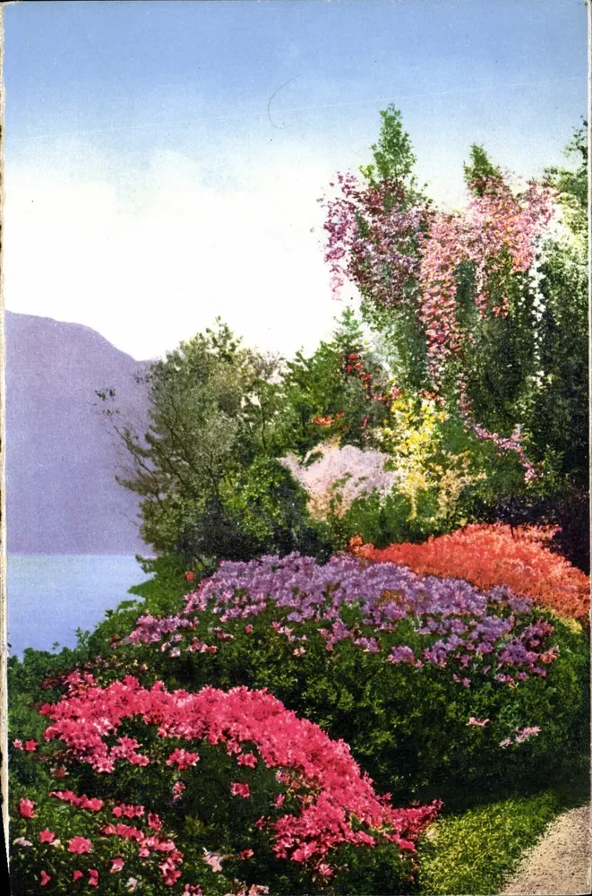 Villa Carlotta — Jardim — Edit. Brunner & C., Como - Frente