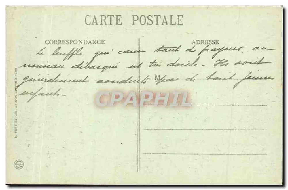 Cochinchina - Bufali domestici — Cartolina postale n°100, edita da Cartier & Cie, Parigi - Verso