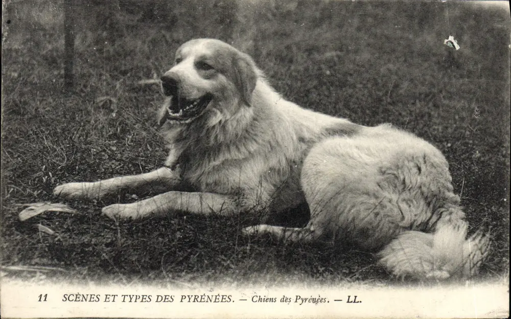Piratenhond — 11 SCÈNES ET TYPES DES PYRÉNÉES — LL. - Voorkant