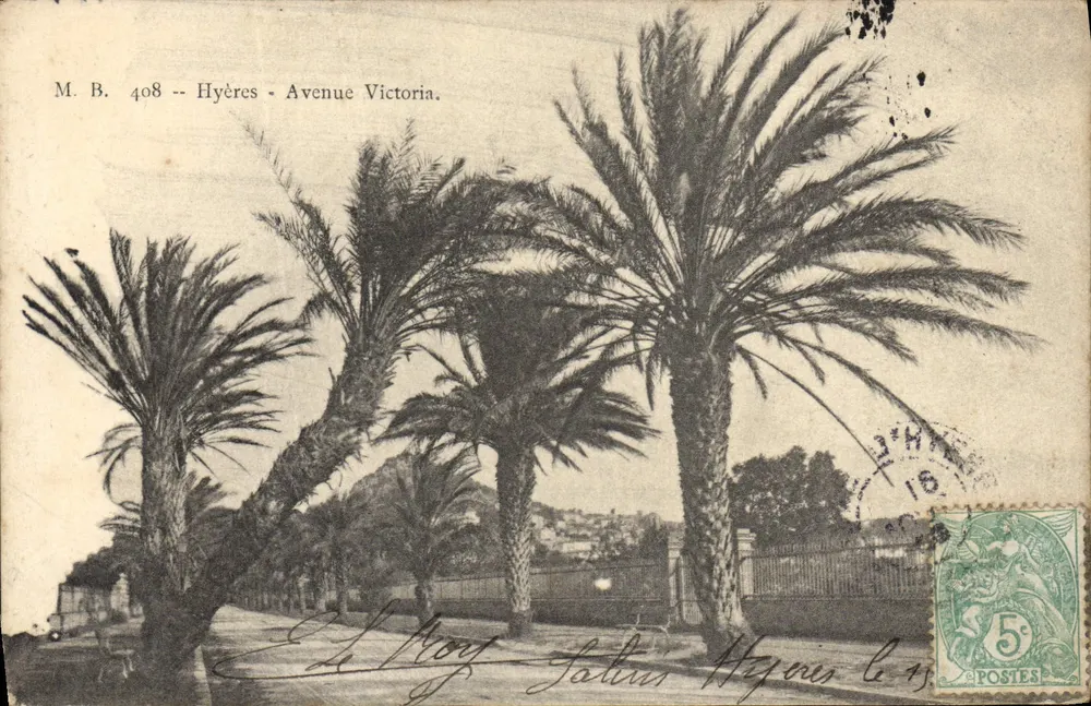 Hyères - Avenue Victoria — vista de palmeiras — M. B. 408 - Frente