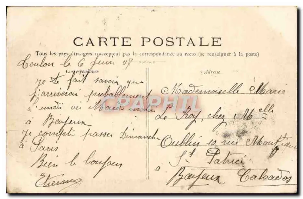 Toulon. Mourillon, Intérieur du Jardin d'Acclimatation — éditeur impr. sur la carte, n° 81 - Verso