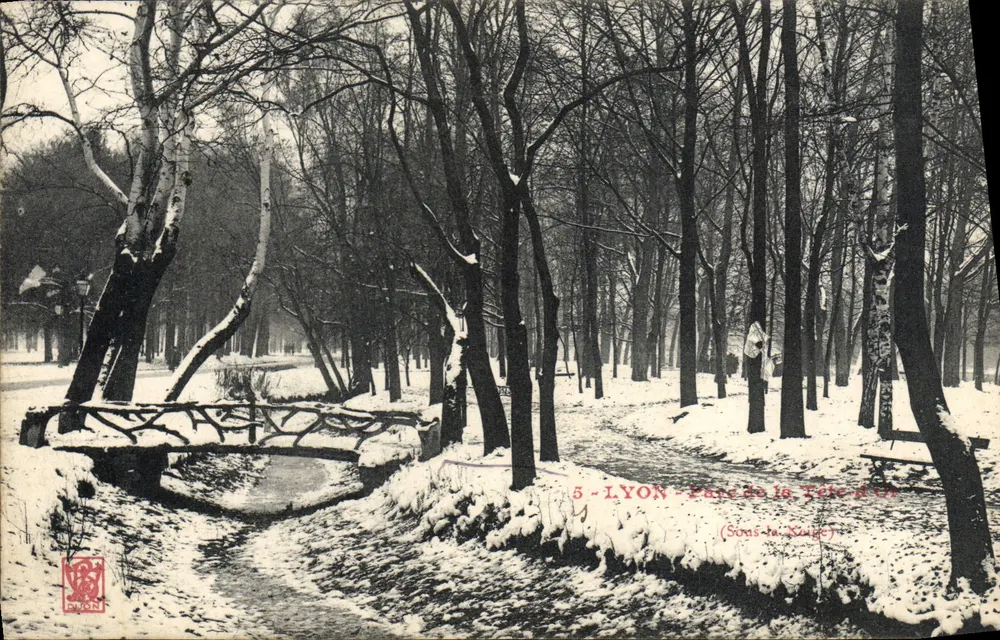 LYON - Parco della Testa d'Or - Sotto la Neve - Recto