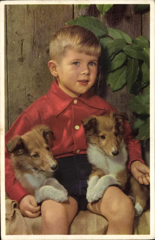 Criança com dois filhotes de collie — editor não visível - Frente