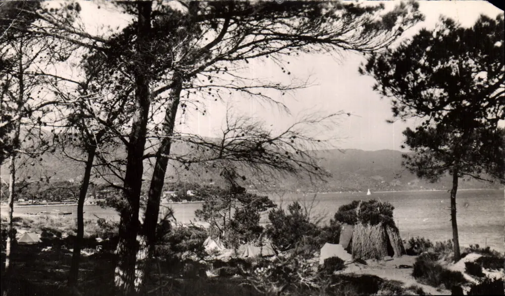 Le Lavandou (Var) — vue des étangs et forêts — Éditions « MAR » - Voorkant