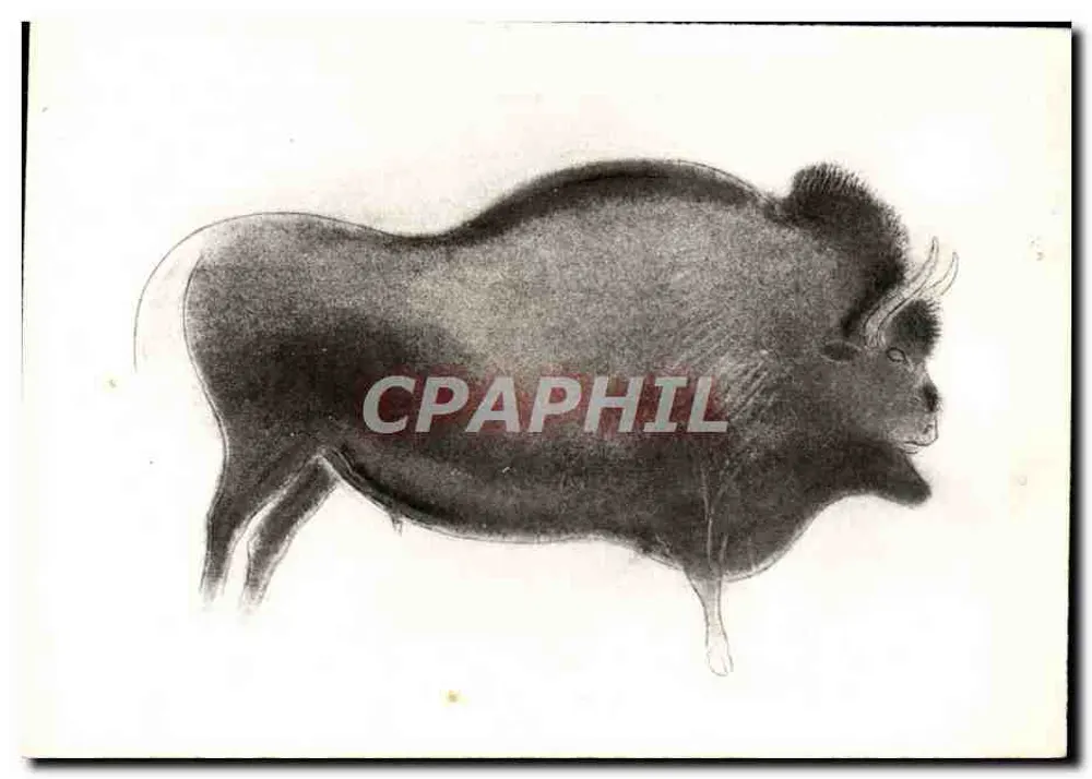 Bison — gravure préhistorique — Station Préhistorique Les Eyzies - Recto