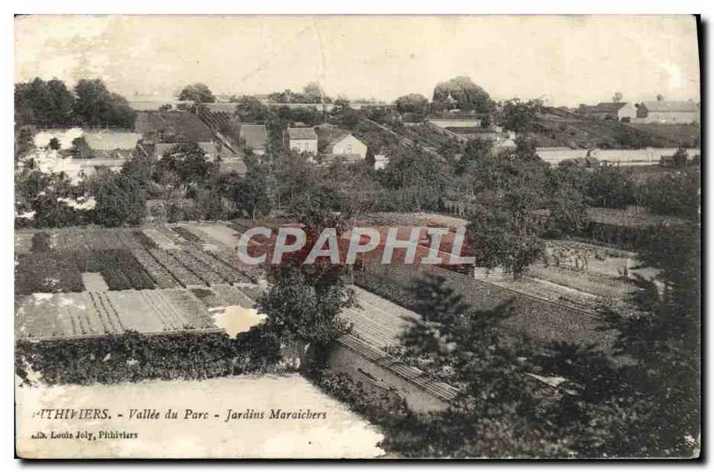 Pithiviers - Vallée du Parc - Jardins Maraichers — éditeur Louis Joly, Pithiviers - Vorderseite