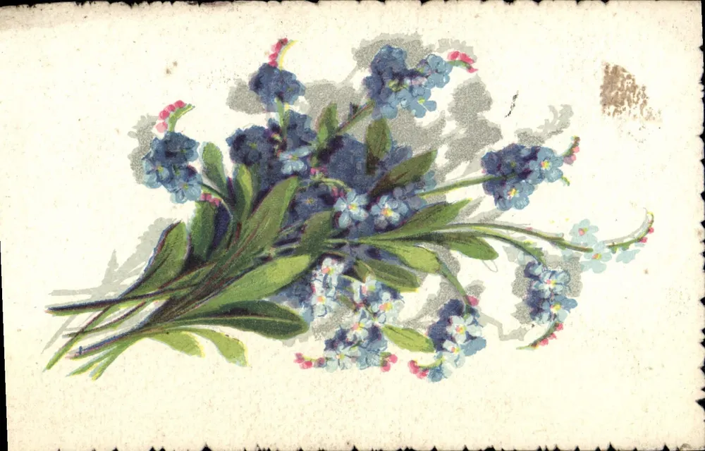 Buquê de myosotis — editor Vittorio Uff. Stampa Milano, série artística aquarela n°1403 - Frente