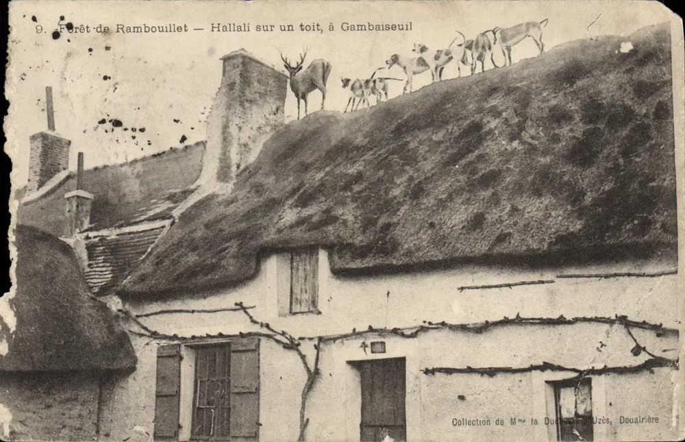 Forêt de Rambouillet — Hallali auf einem Dach, in Gambaiseuil — Sammlung von Madame la Duchesse d'Uzès, Wittwe - Vorderseite