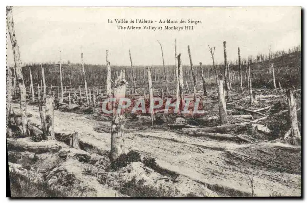 Die Ailette-Tal — Auf dem Mont des Singes — B. Nougereide et H. Leaunt, Sceaux - Vorderseite