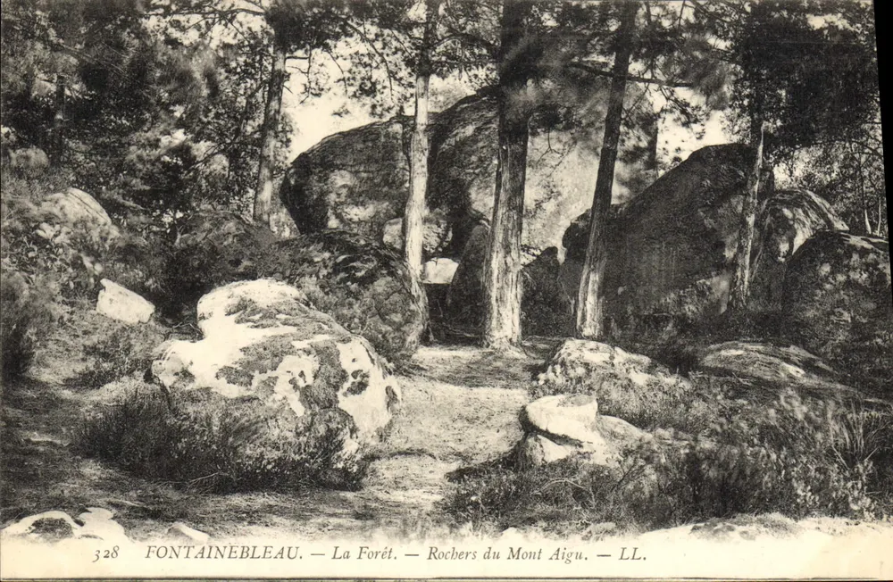 Fontainebleau — Die Forêt — Felsen des Mont Aigu — LL. — n° 328 - Vorderseite