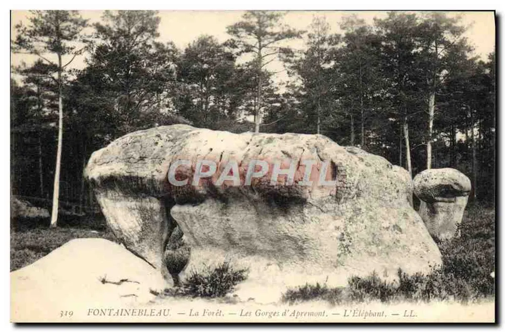 Fontainebleau — Die Forêt — Die Gorges d'Apresmont — Der Elefant — LL. — Nr. 319 - Vorderseite
