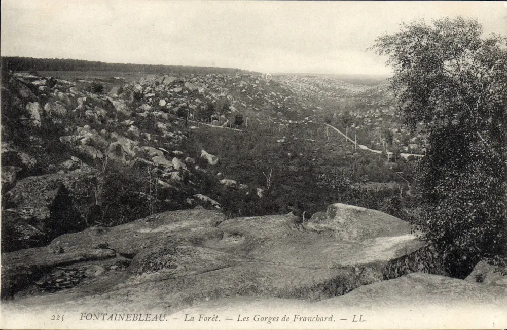 Fontainebleau — Die Forêt — Die Gorges de Francbard — LL. — Nr. 225 - Vorderseite