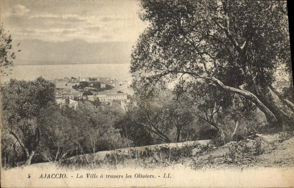 Ajaccio — Die Stadt durch die Olivenbäume — LL - Vorderseite