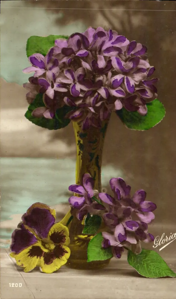 Violette bloemen en margrieten in een vaas — Gloria — n° 1200 - Voorkant