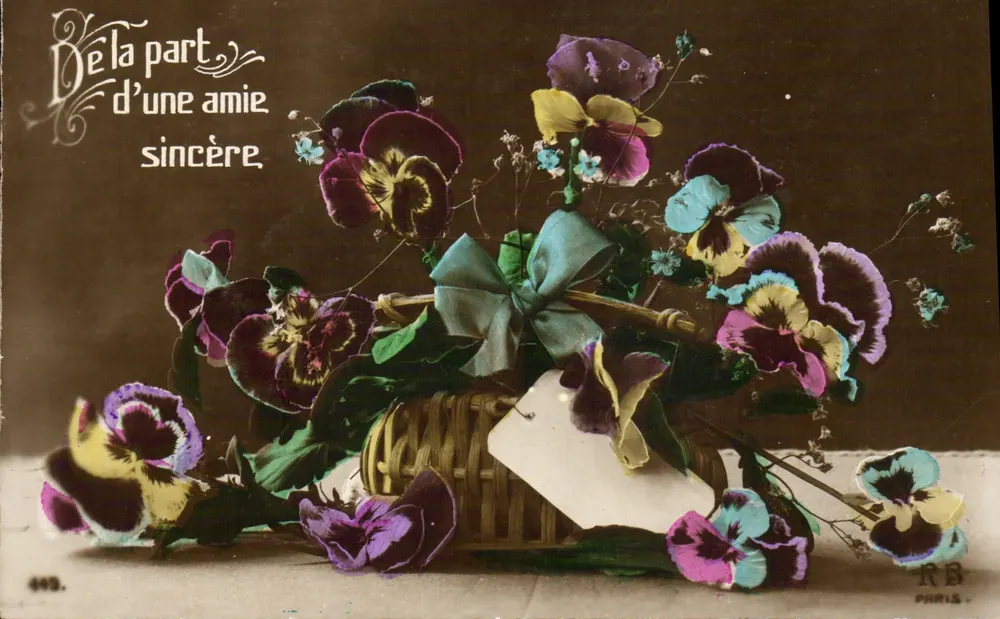 Arranjo de flores de pensão em um cesto — RB Paris — n° 443 - Frente