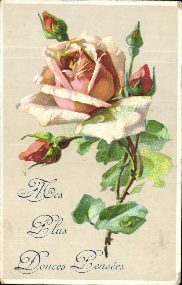 Rosa — Minhas Mais Doces Pensativas — GUYLO, Paris - Frente