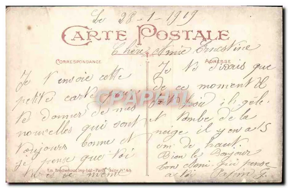 Dois pássaros — sobre galho de pinheiro — F. M. Brochenhoux, Imp.-Édit. Paris, Série N° 41 - Verso