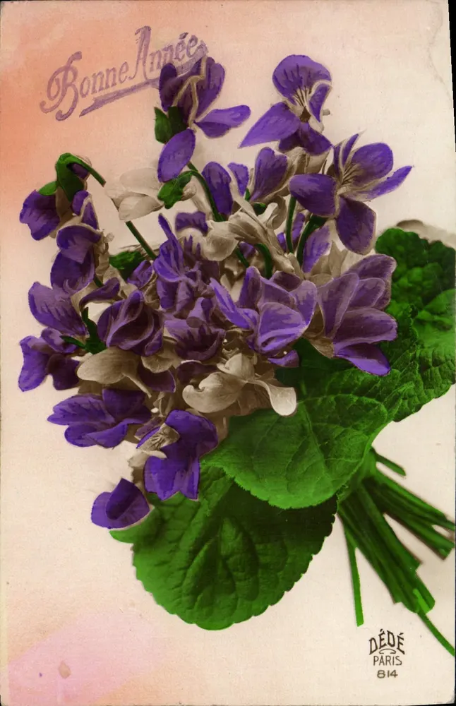 Arranjo de violetas — Boa Ano — DÉDÉ PARIS 814 - Frente